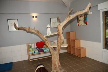 Un pensionnaire sur l'arbre de la pension pour chats en Alsace - Moselle
