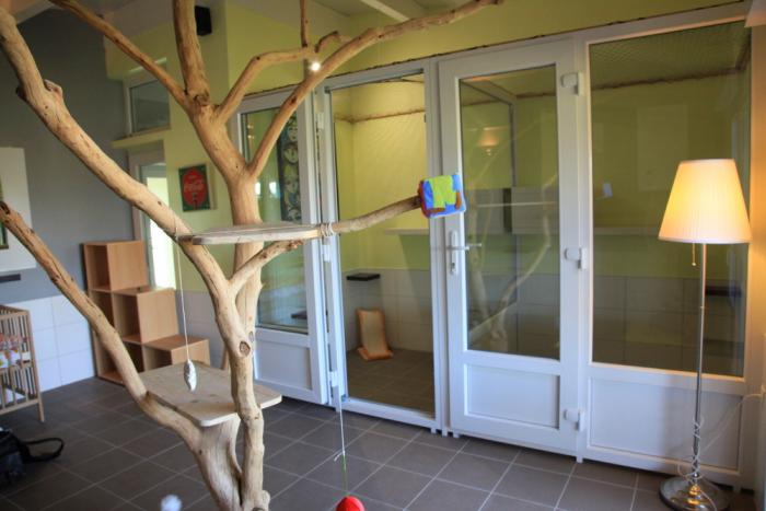 Chambre individuelle de la pension pour chats ESPACHAT en Alsace - Moselle