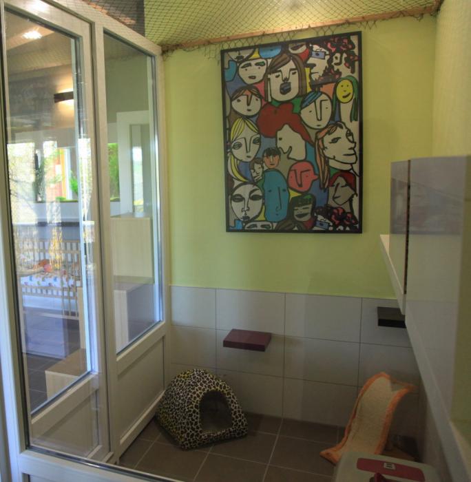 Chambre individuelle de la pension pour chats ESPACHAT en Alsace - Moselle